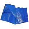 TELONI ANTISTRAPPO PESANTIBICOLOR BLU/VE RDE6X 8  M