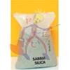 SABBIA CALIBRATA 0.4-0.8MM X POMPA FILTRANTE PER PISCINA KG.25
