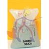 SABBIA CALIBRATA 0.4-0.8MM 20 KG - 