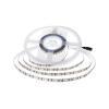 LED STRISCIA SMD2835 126 LEDS 24V IP20 6400K - V-TAC - CONF. 5 MT